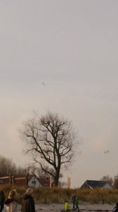 P1090342