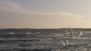 P1090662