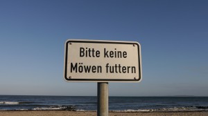 P1090847